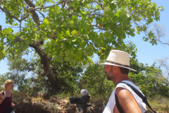 21.Gefilmt-wird-auch